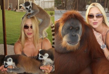 equipe-de-virginia-emite-nota-de-repudio-apos-video-polemico-com-macacos-em-dubai