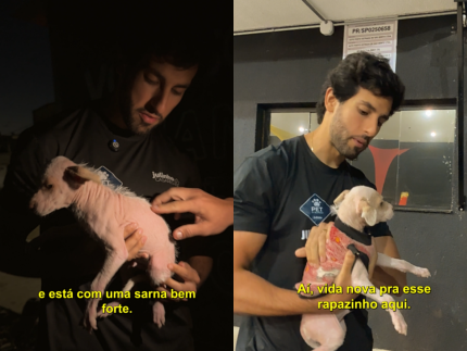 equipe-de-julinho-casares-salva-mais-um-filhote-de-cachorro-abandonado-em-sao-paulo
