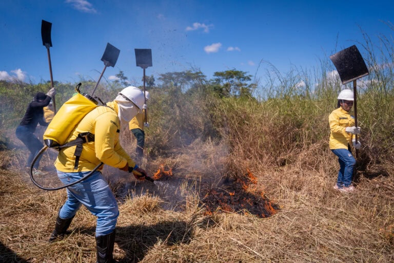 Brigadistas comunitários durante treinamento de combate a incêndios florestais no Acre.
