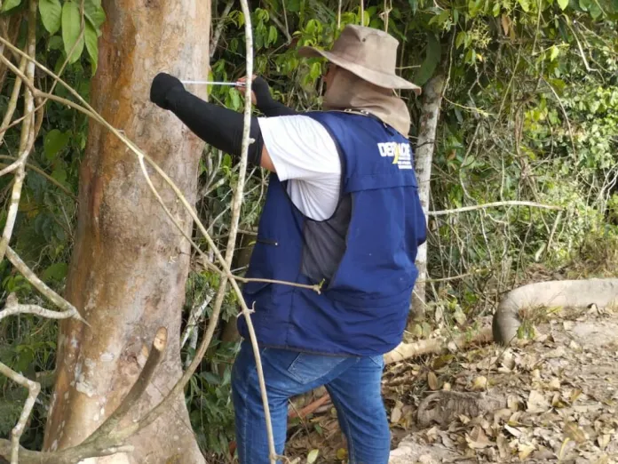 Estrada para Santa Rosa do Purus enfrenta novas exigências do MPF