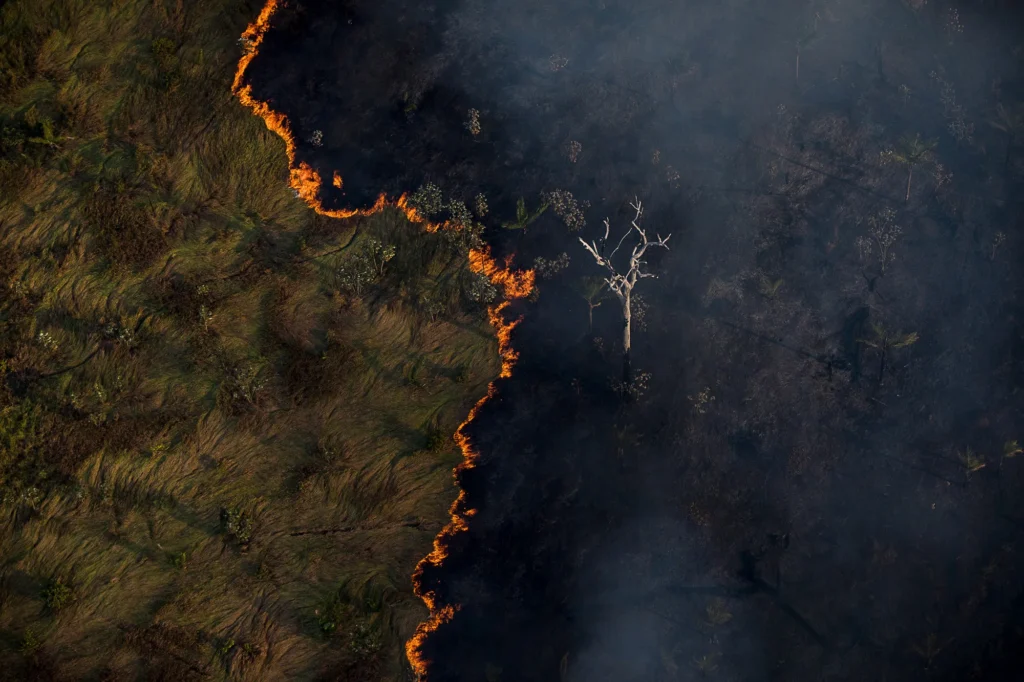 Área de floresta com ocorrência de queimada no Amazônia.