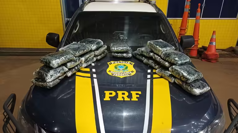 PRF apreende skunk em ônibus Rio Branco Brasília