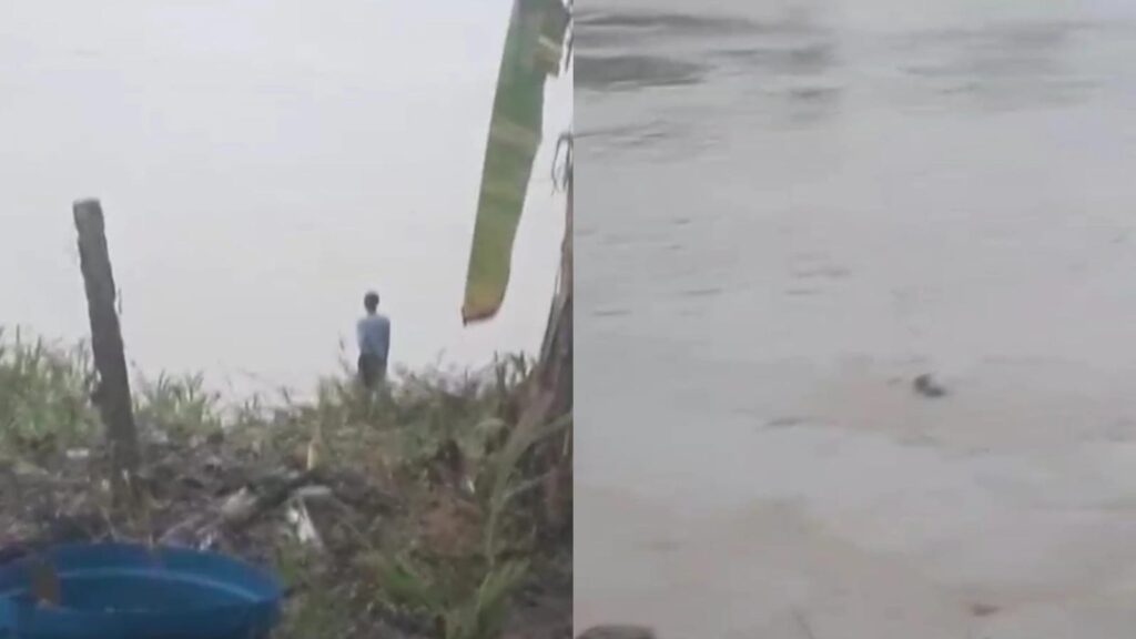 Jovem pulando no Rio Purus momentos antes de desaparecer.