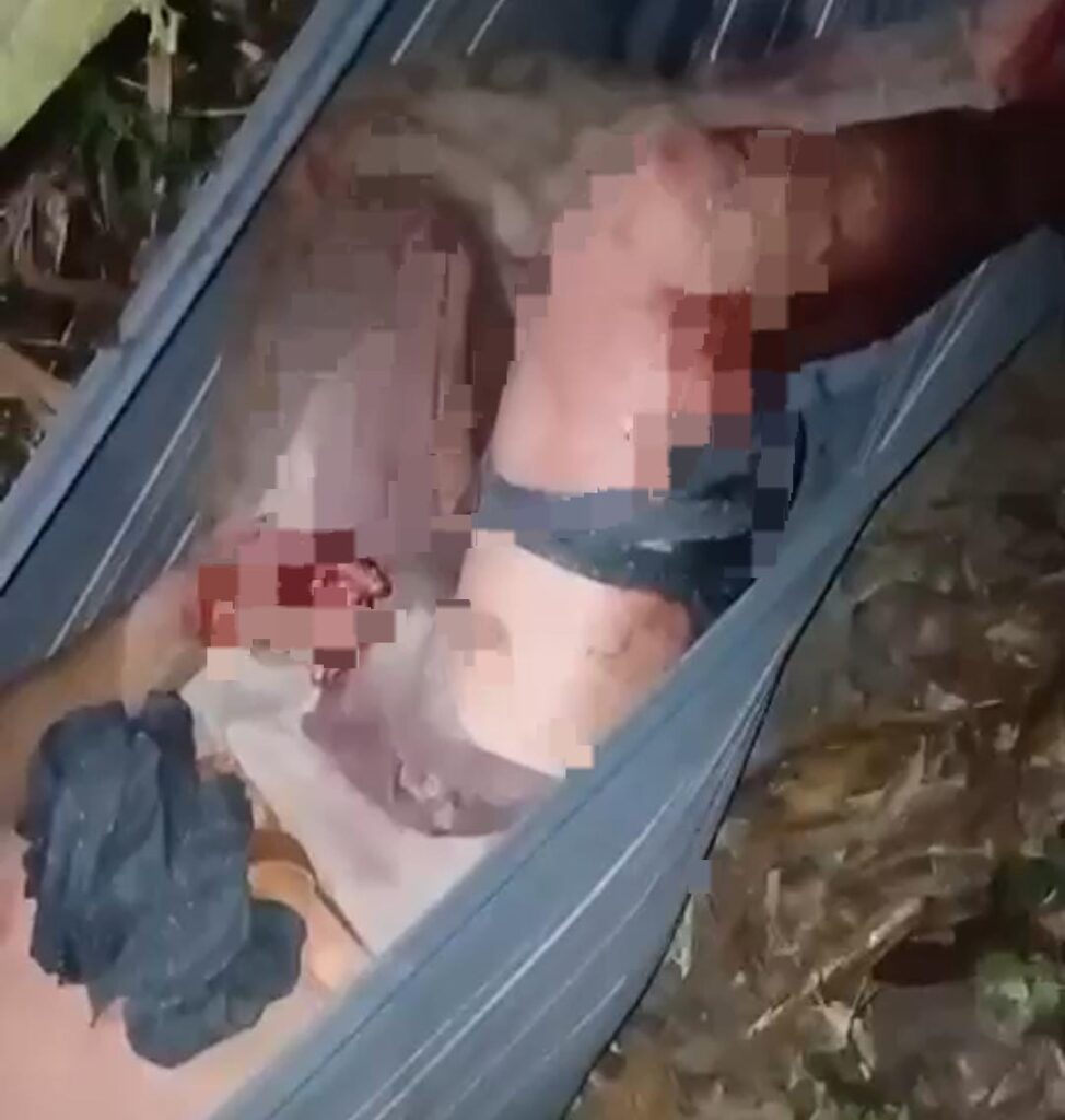 Indígenas são atacados por bando de Queixadas no alto Rio Iaco e carregados em redes na mata por horas no interior do Acre