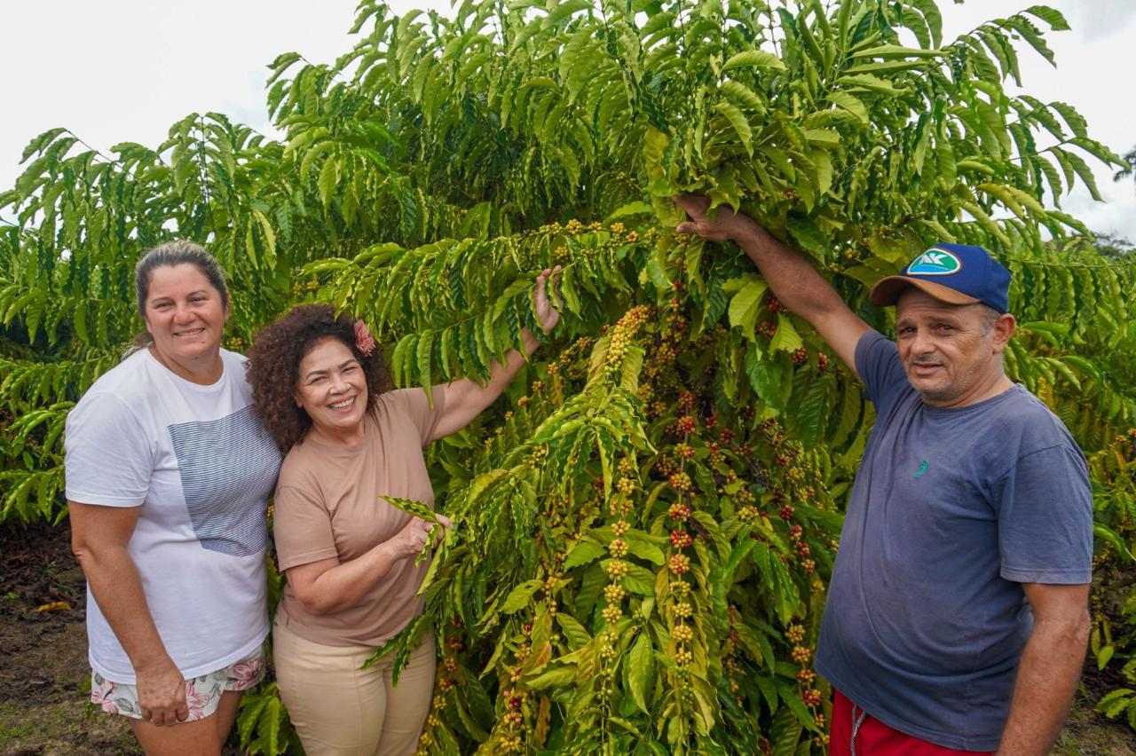 Perpétua anuncia inclusão do Acre nas Rotas de Desenvolvimento com criação inédita da Rota do Café