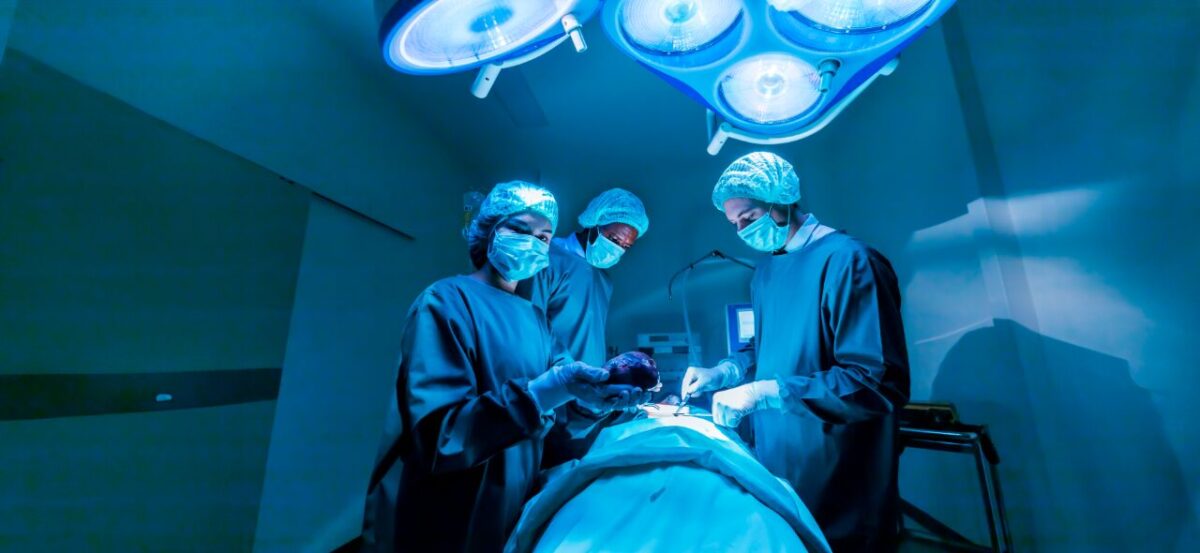 Brasil registra recorde histórico de transplantes em 2025 com mais de 31 mil procedimentos