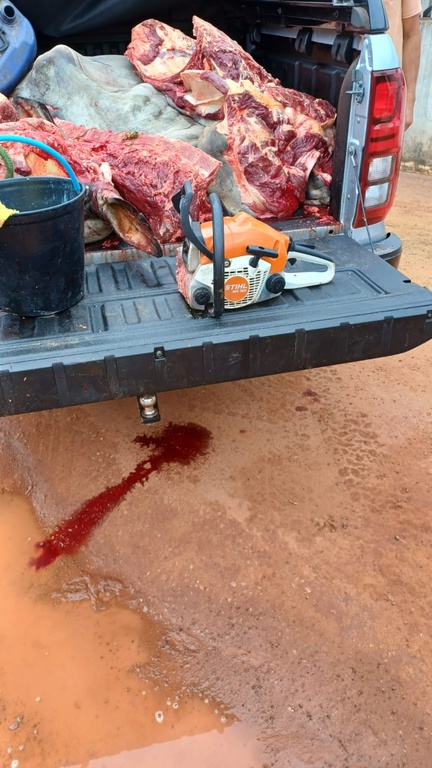 PRF prende homens porte ilegal arma abate clandestino