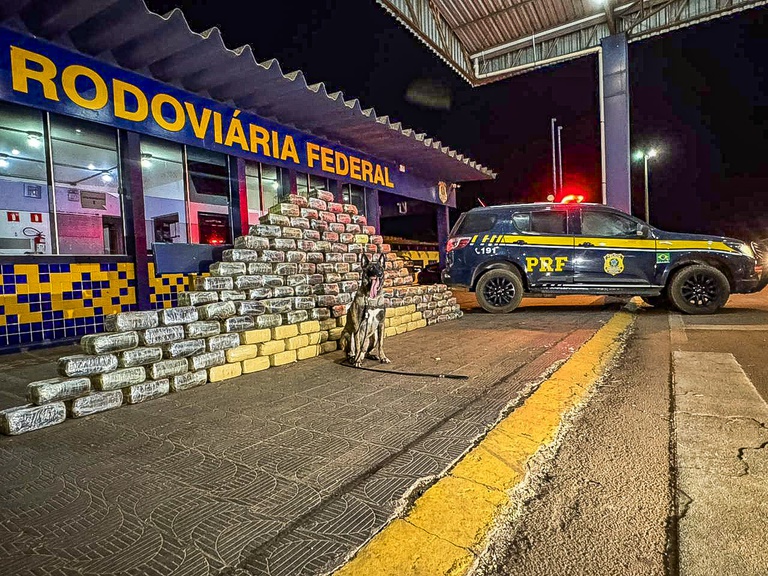 Policiais da PRF apreendendo caixas de skunk escondidas em caminhão na BR-364.