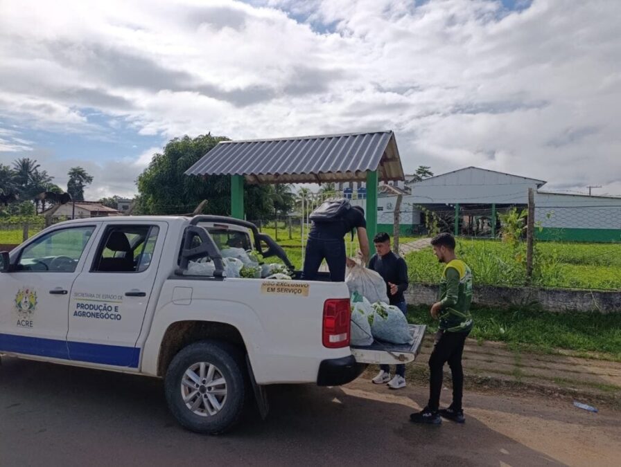 Agricultura familiar em Sena Madureira abastece escolas com alimentos do PNAE