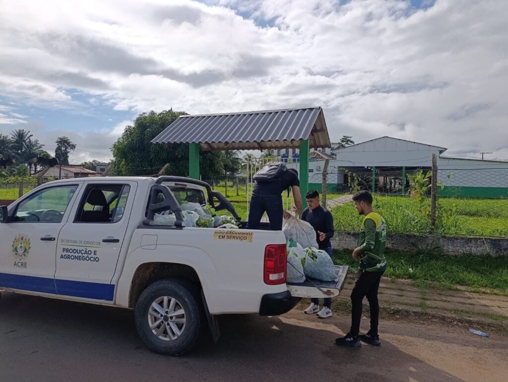 Agricultura familiar em Sena Madureira abastece escolas com alimentos do PNAE