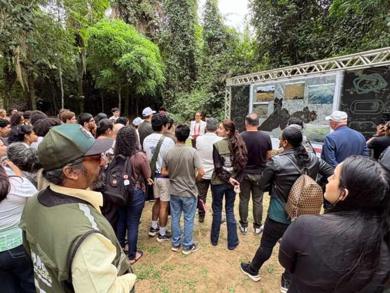 Rio Branco celebra o Dia dos Geoglifos com programação especial