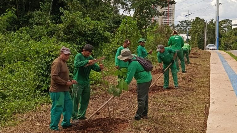 Projeto vai plantar mudas para recuperar áreas verdes em Rio Branco