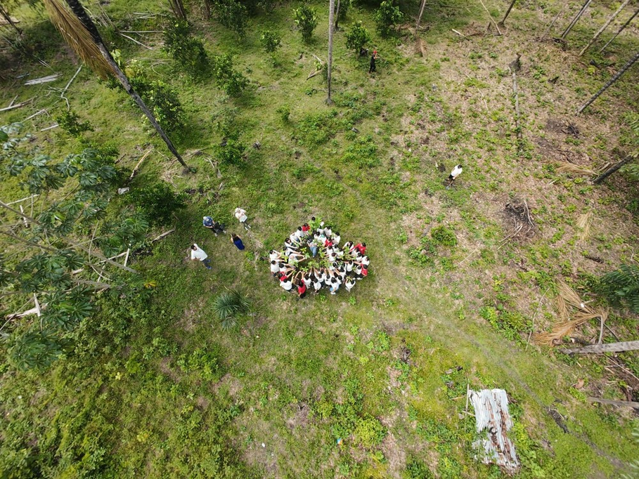 Projeto vai plantar mudas para recuperar áreas verdes em Rio Branco