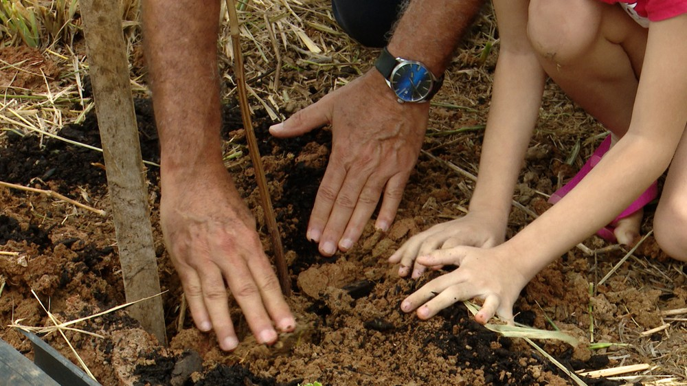Projeto vai plantar mudas para recuperar áreas verdes em Rio Branco