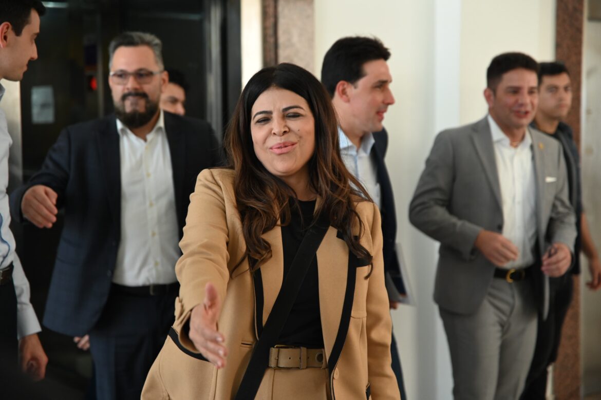 Em meio a julgamento por peculato, advogado abandona defesa de Antônia Lúcia no STF