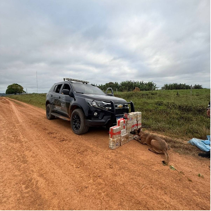 PM apreende 72 kg de skank em Senador Guiomard durante operação com cão farejador