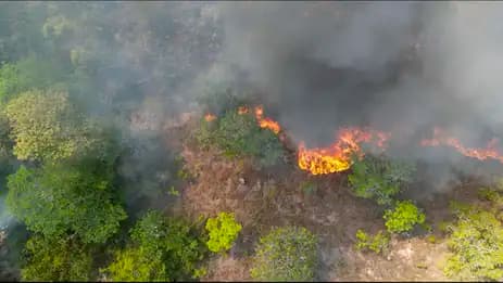 STF dá 30 dias para Acre ajustar plano de combate às queimadas e incêndios florestais
