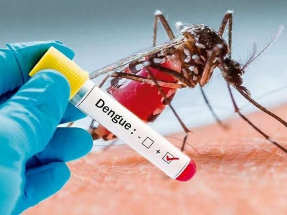 Acre investiga possível circulação do DENV-3 após casos suspeitos de dengue em Rio Branco