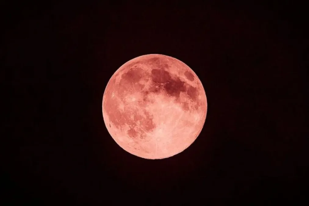 Lua de Morango ilumina o céu nesta segunda-feira; saiba o significado do fenômeno