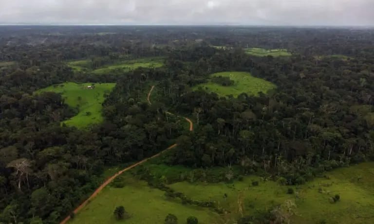 Pesquisas internacionais na Reserva Chico Mendes terão novas regras após portaria do CNPq