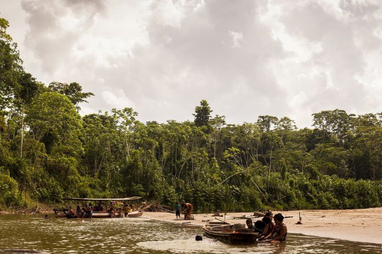 MPF aciona Justiça para atualizar plano de proteção da Terra Indígena Alto Rio Purus