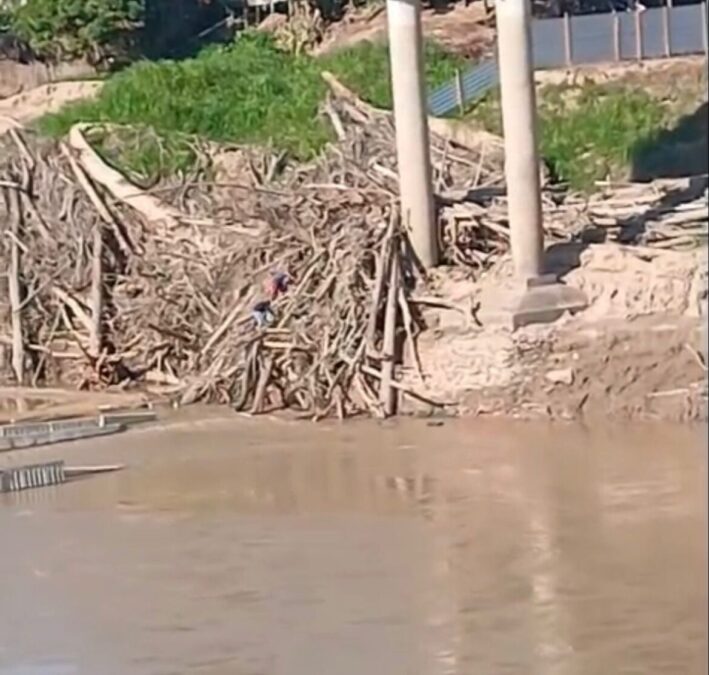 Inércia e Desespero: Ribeirinhos se arriscam no Rio Iaco para abrir canal de navegação por conta própria