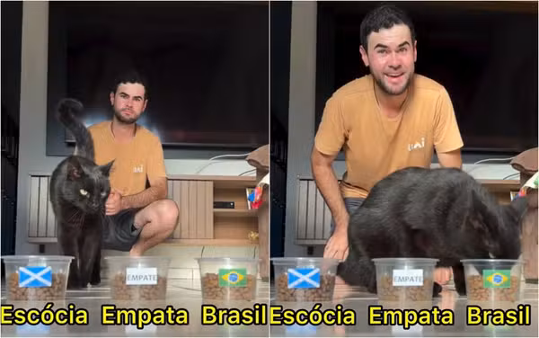 Gato vidente Milu aposta em vitória do Brasil e viraliza com nova previsão da Seleção