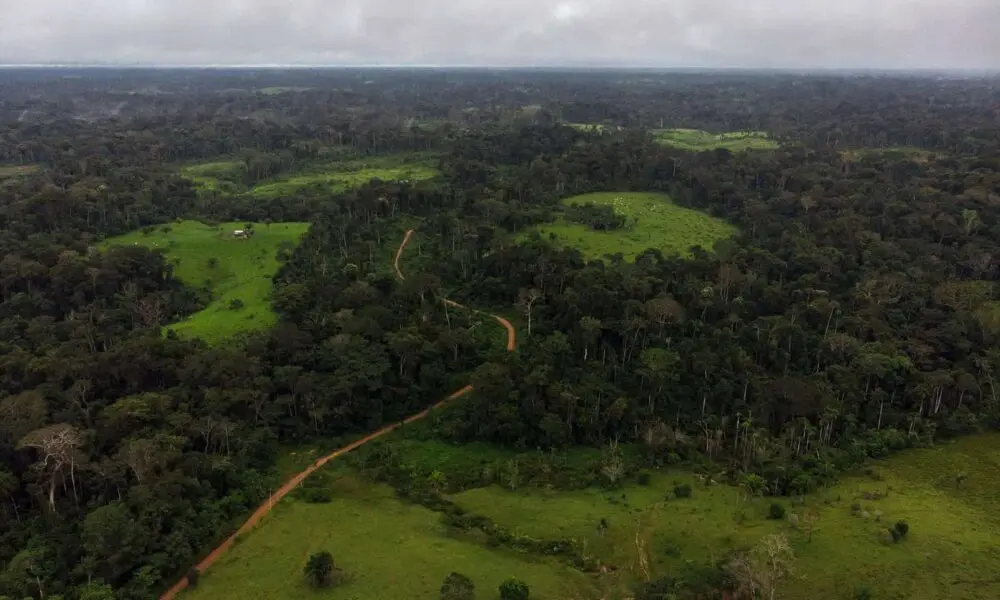 MPF abre fiscalização sobre projeto de carbono na Resex Chico Mendes