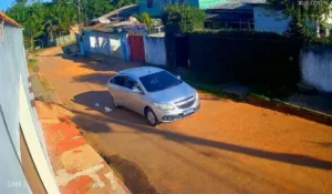 Gato é jogado de carro e morto após atropelamento em Rio Branco.