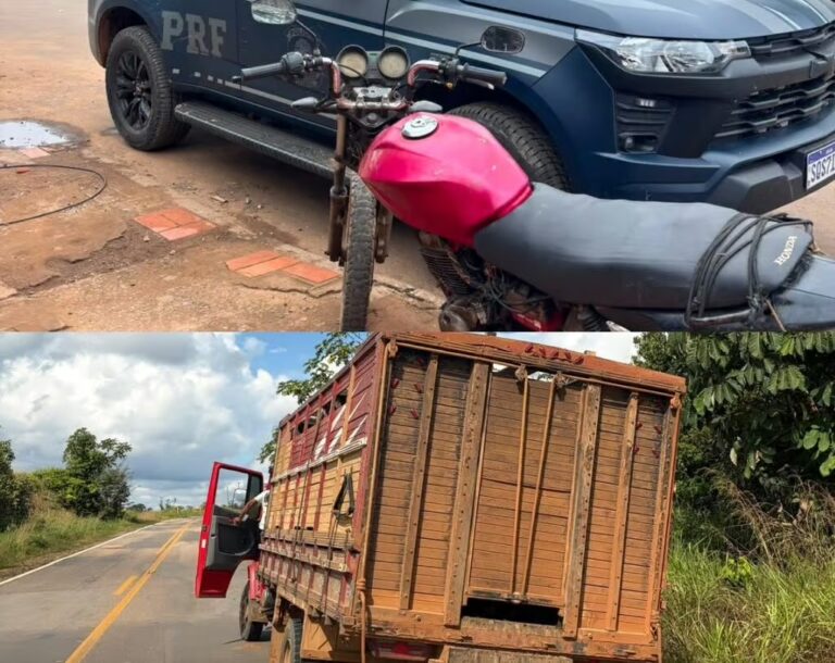 PRF apreende gado irregular e prende condutor com placa adulterada na BR-317.