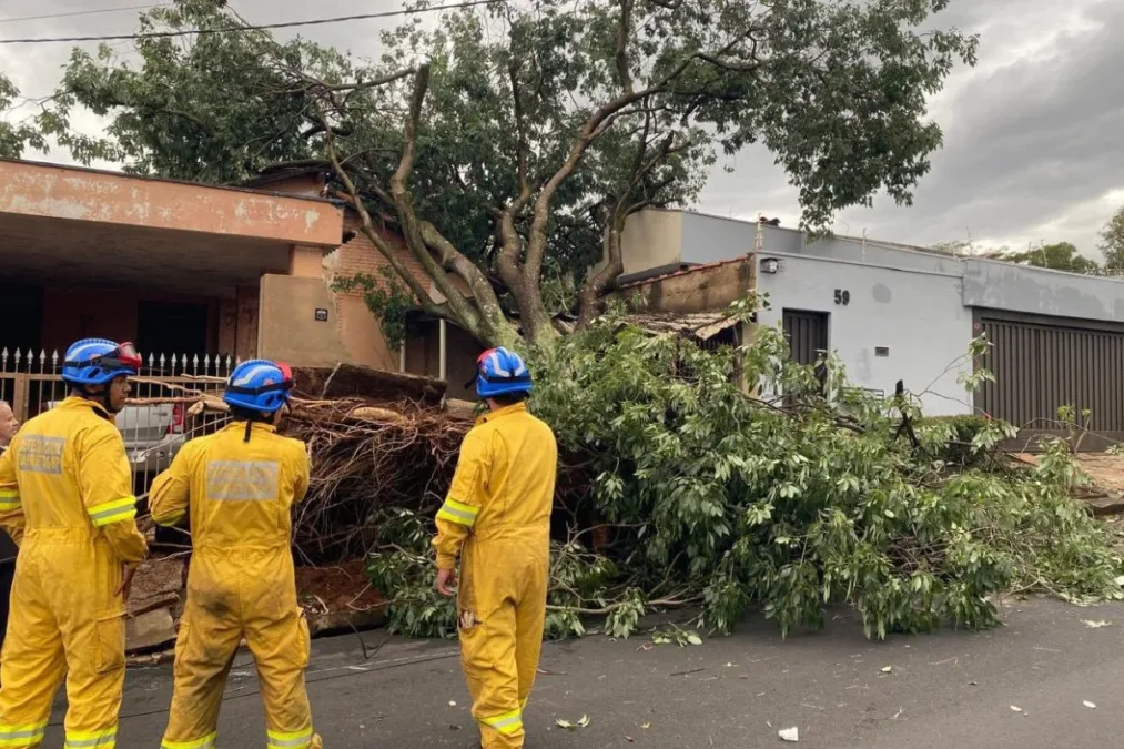Após temporal, Defesa Civil envia 11 mil itens de ajuda a Ribeirão Preto