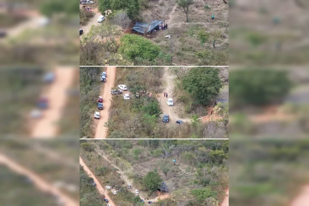Árvores derrubadas e barracos erguidos: invasão ameaça área da Flona