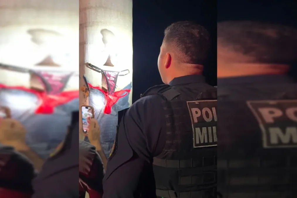 Calcinha, sutiã e mistério: polícia investiga lingeries deixadas em árvores