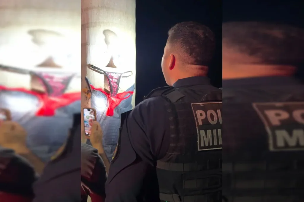 Calcinha, sutiã e mistério: polícia investiga lingeries deixadas em árvores