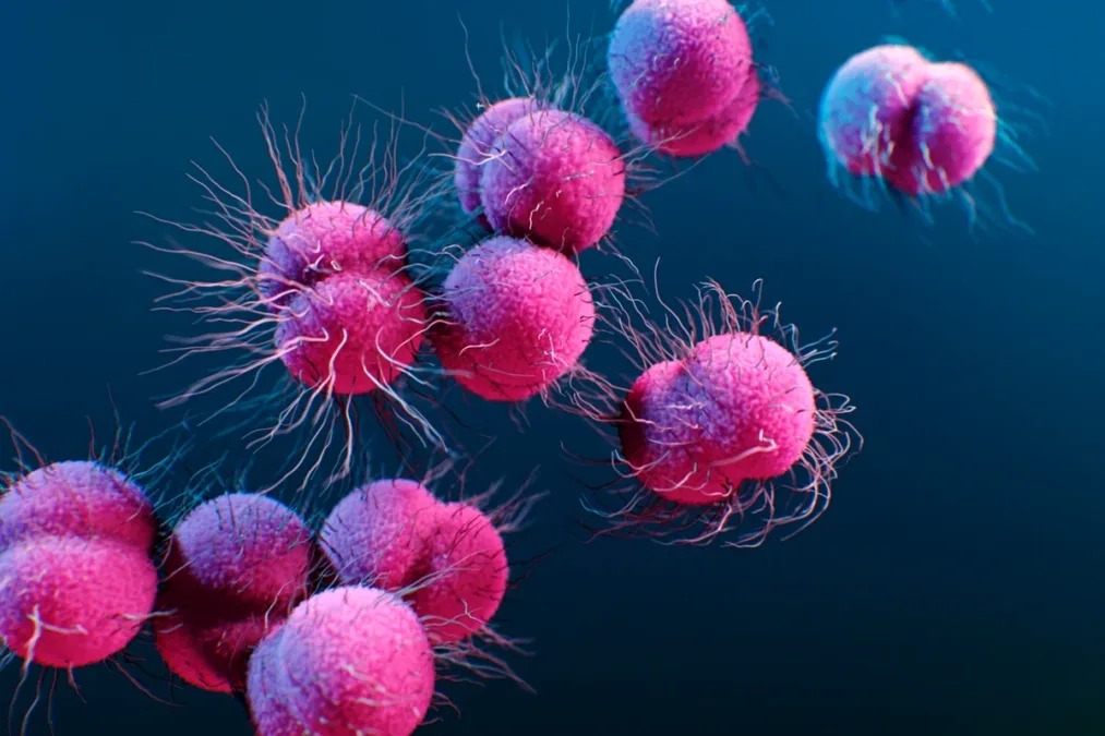 Casos de gonorreia resistente a antibiótico aumentam na Europa