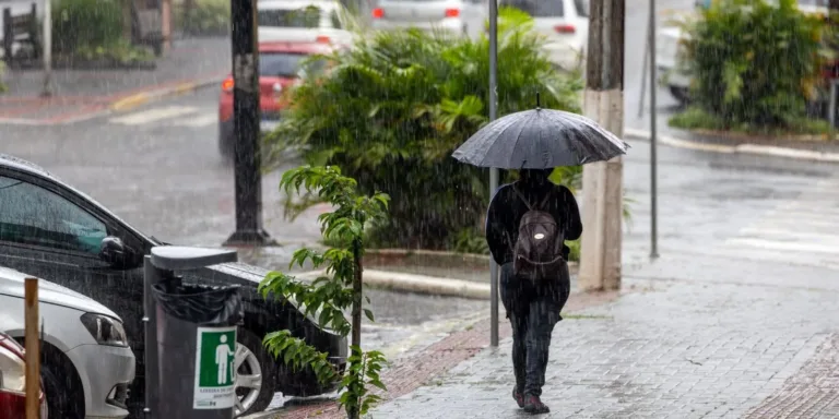 Temporais se interiorizam em Santa Catarina