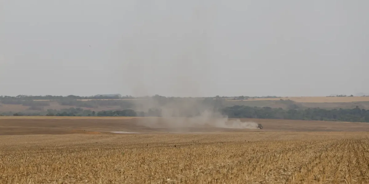 Estudo propõe avanços na rastreabilidade ambiental da soja e da carne