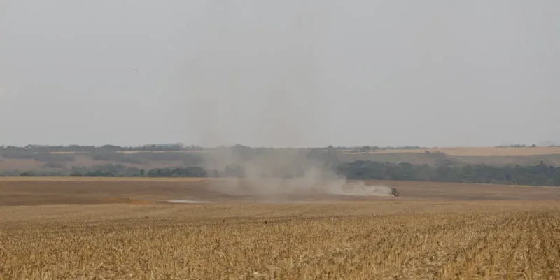 Estudo propõe avanços na rastreabilidade ambiental da soja e da carne