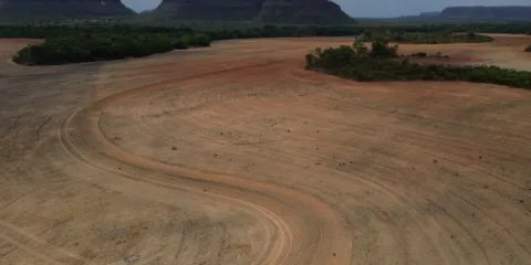 Fim da Moratória da Soja pode ampliar destruição da Amazônia