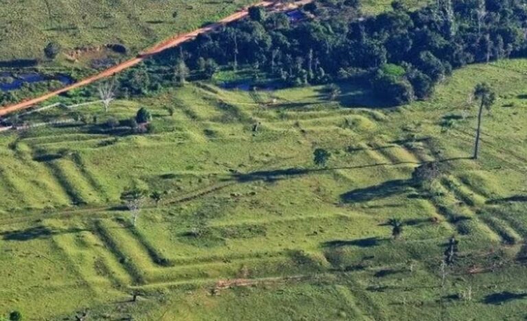 Pesquisadores encontram 396 novos geoglifos no Acre e ampliam mapa da civilização Aquiry.