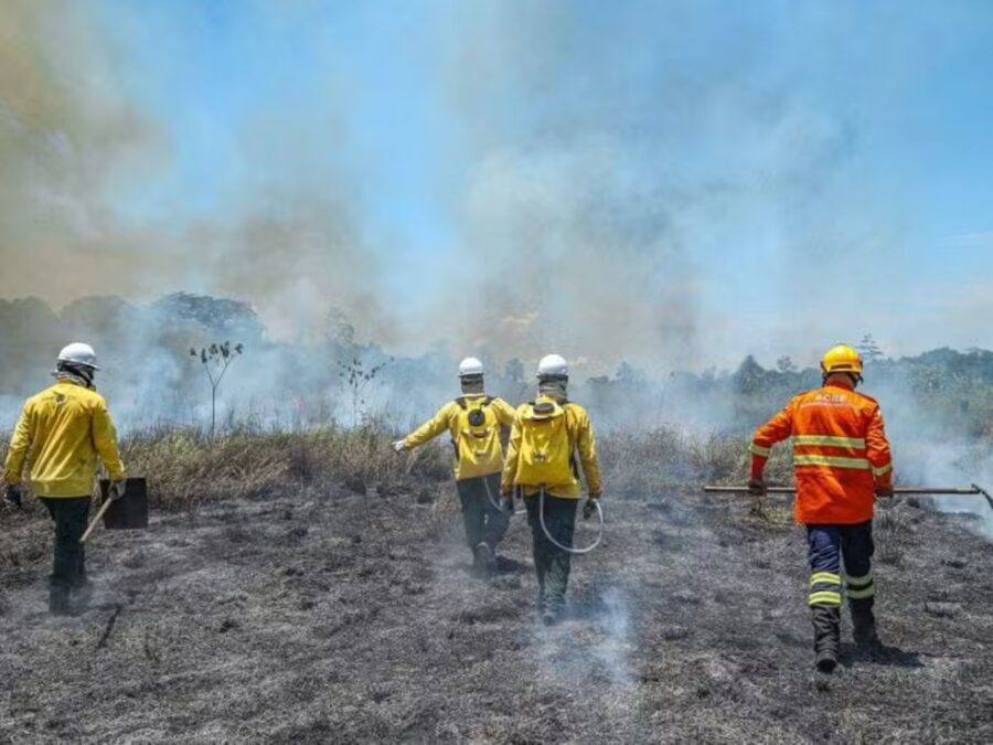 Rio Branco abre edital para brigadistas e reforça combate às queimadas