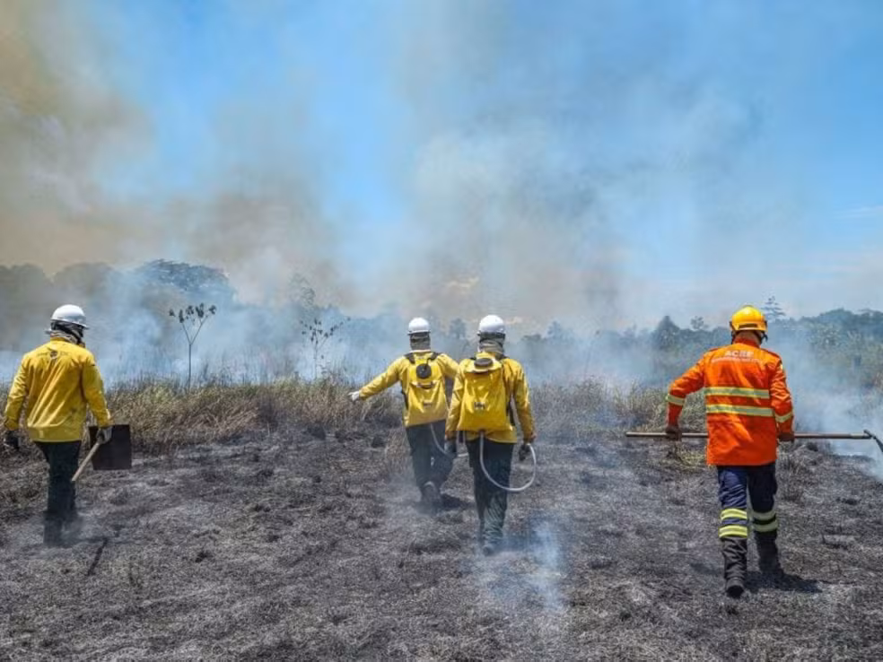 Rio Branco abre edital para brigadistas e reforça combate às queimadas