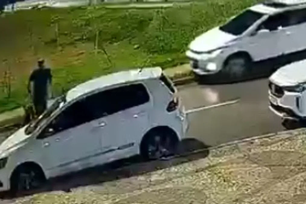 Motorista invade calçada, atropela pedestre cego e cão-guia no DF e foge