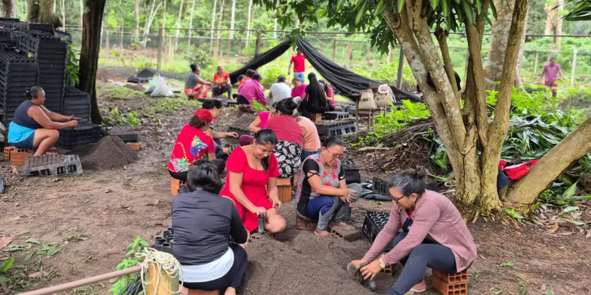 Mulheres da Amazônia se unem para enfrentar as mudanças climáticas