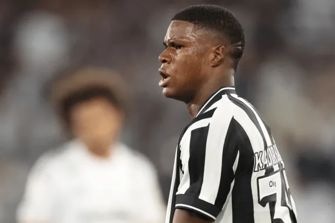 No retorno do Brasileirão, Botafogo marca no fim e derrota o Santos