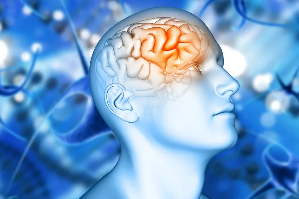 Novo remédio contra Alzheimer pode reduzir declínio cognitivo em 50%