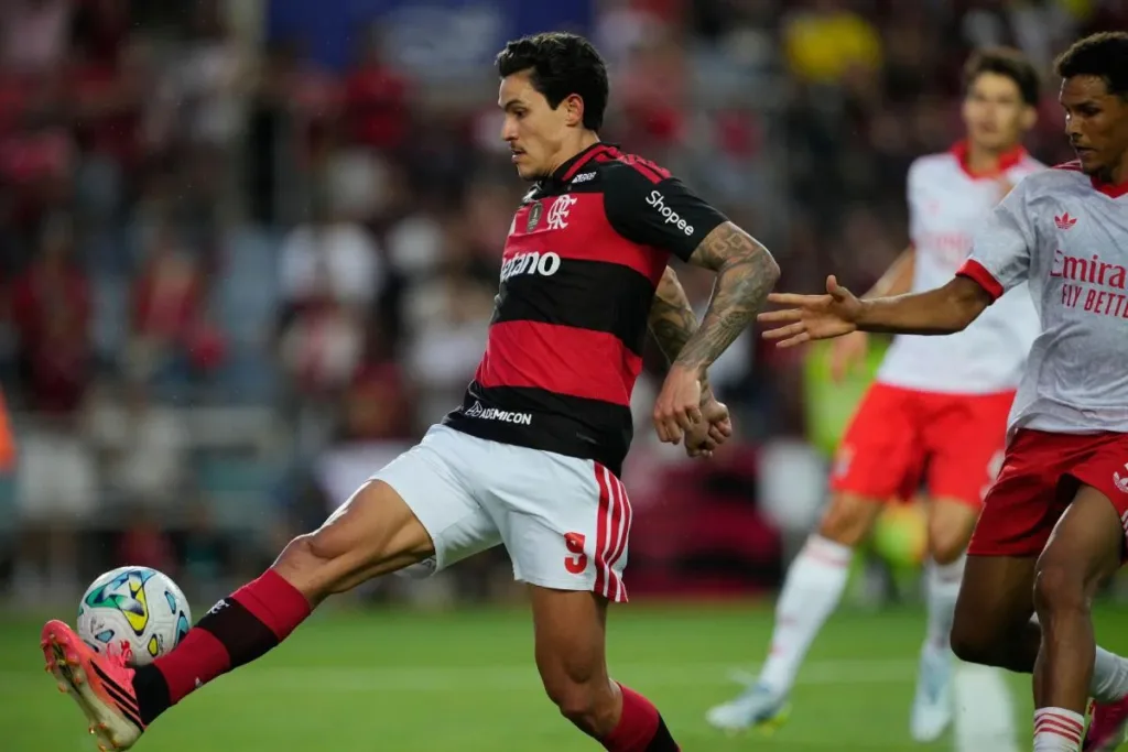 Palpite Chapecoense x Flamengo - Brasileirão - 22/07/26