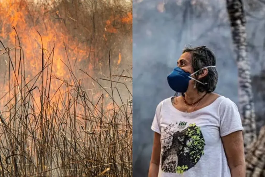 Pesquisadora premiada explica por que Cerrado lidera queimadas