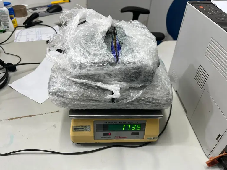 Cão farejador da Polícia Federal durante apreensão de skunk escondido em caixa nos Correios.
