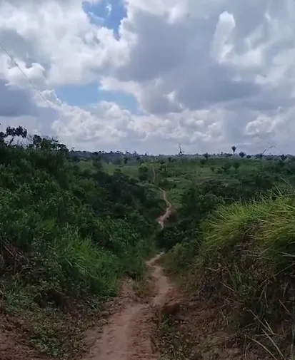 Moradores cobram continuidade da abertura de ramal na zona rural de Manoel Urbano